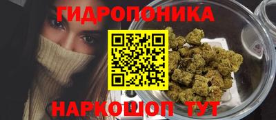 стафф Лесосибирск