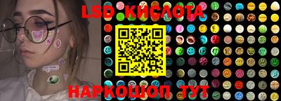 стафф Лесосибирск