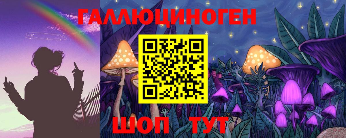 Псилоцибиновые грибы мицелий  Псилоцибиновые грибы MAGIC MUSHROOMS  Вход с VPN  Элиста 